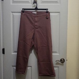 Lane Bryant, 28w, Rose